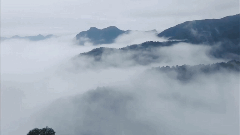 60442b08351f7.gif