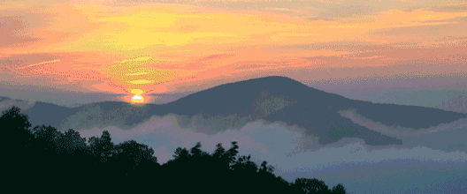64e15a7e598bb.gif